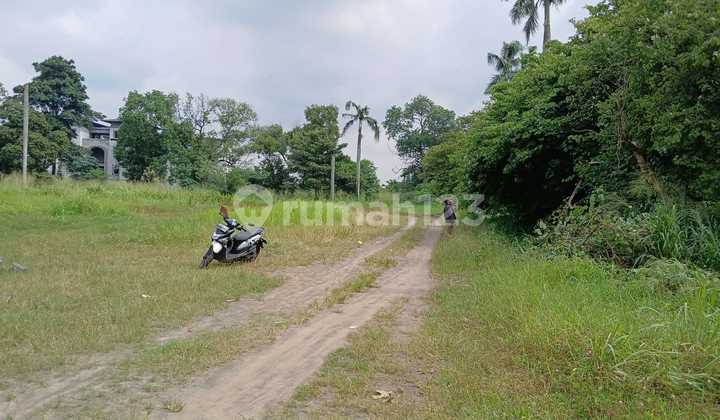 Tanah Kavling Komersial Pinggir Jalan Raya, Cocok Untuk Showroom, Ruko Dll, Puspitek, Kec. Setu, Tangerang Selatan ( Tangsel ) Tanah Kavling Komersial Pinggir Jalan Raya, Cocok Untuk Showroom, Ruko Dll, Puspitek, Kec. Setu, Tangerang Selatan ( Tangsel )