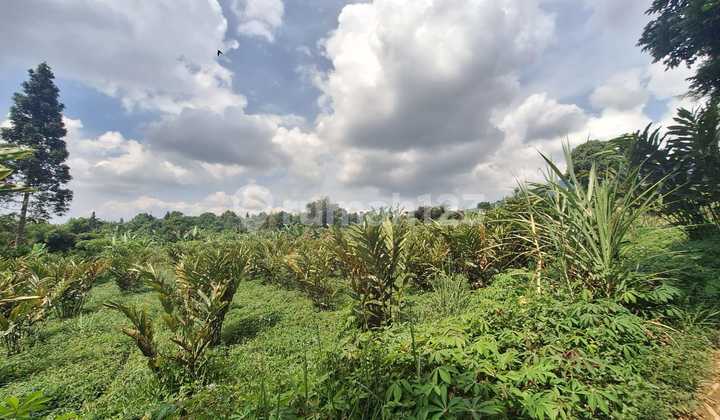Special Land for Non-Muslim Cemetery at the Foothills of Mount Salak Highlands in Bogor