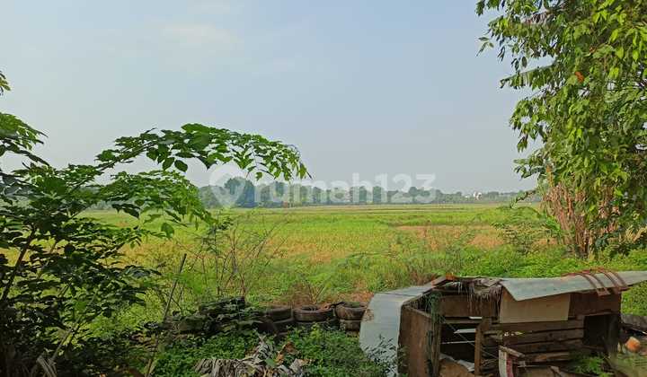 Jual Tanah / Lahan Sawah 15,5 Ha Di Rawa Taman Setu Bekasi