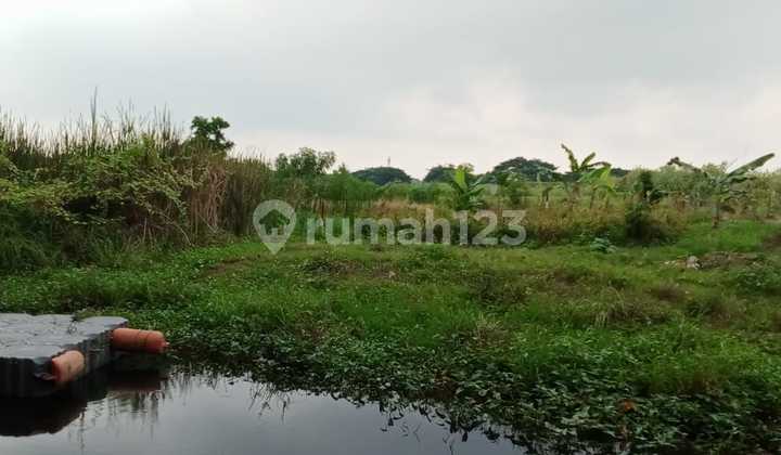 Dibawah NJOP 50% Tanah 2,5 Hektar Cocok Untuk.perumahan Dll di Kalideres Jakarta Barat