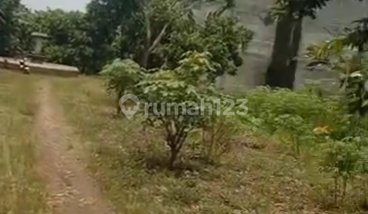 For Quick Sale: Flat Land in Rawa Kalong, Gunung Sindur For Quick Sale: Flat Land in Rawa Kalong, Gunung Sindur