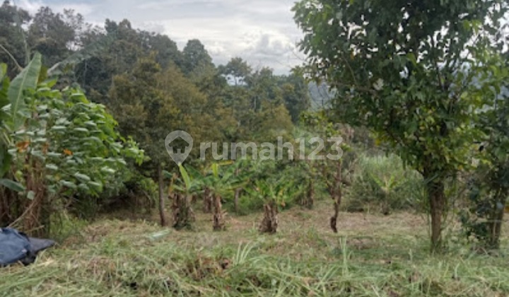Lahan Tanah 2,3 Ha, View Bagus, Suasana Adem Area Pemukiman Villa Di Sukadamsi, Jonggol, Bogor Lahan Tanah 2,3 Ha, View Bagus, Suasana Adem Area Pemukiman Villa Di Sukadamsi, Jonggol, Bogor