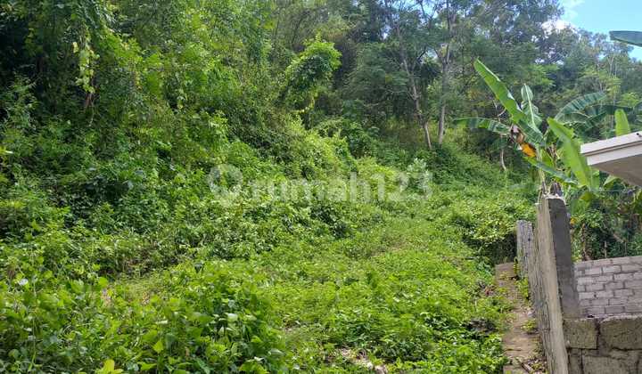 Quick Sale Land in Area Near Padang Bai Port Tourist Area