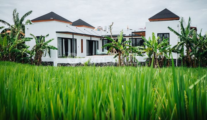 New Brand Villa For Rent or Leasehold Premium Villa for Long Term at Kedampang, Kerobokan
