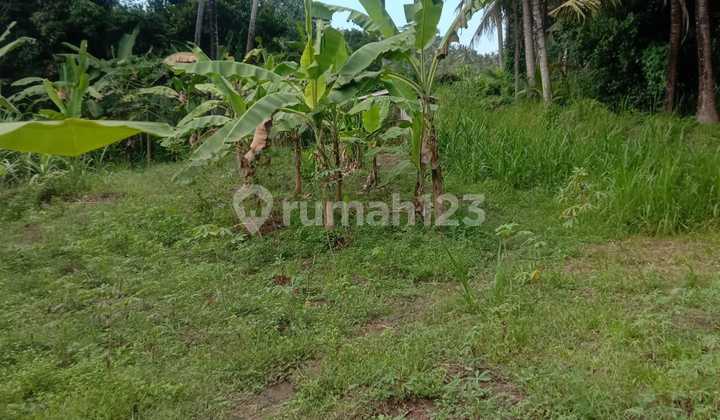 Dijual Cepat Tanah Saba Jungle dan River View
