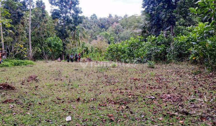 Land for Sale in Good Area in Selemadeg Tabanan 1