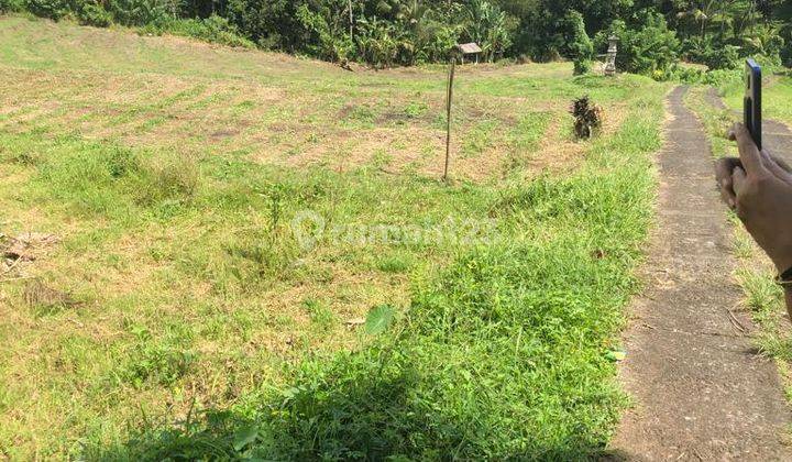 Land For Sale At Selemadeg Tabanan Nice View 1