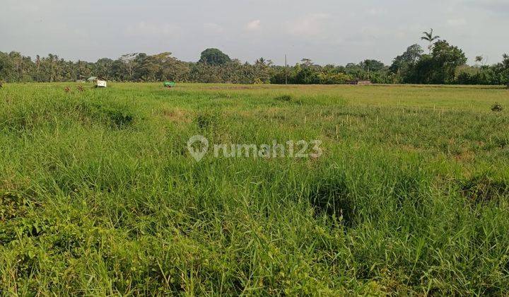 Land for sale in a strategic, comfortable and quiet area in Tabanan 2