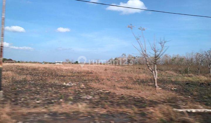 Dijual Tanah di Tepi Pantai Kita, Sumba Barat 2