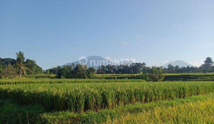 Dijual Tanah Asri Sejuk View Sawah Dan Gunung di Tabanan 1