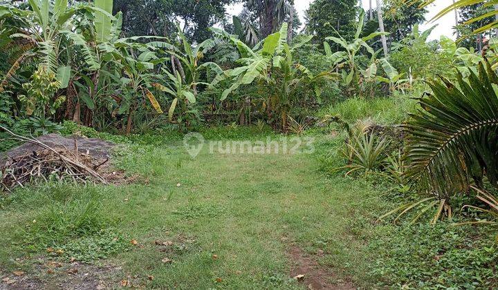 River View and Jungle Land for sale 1