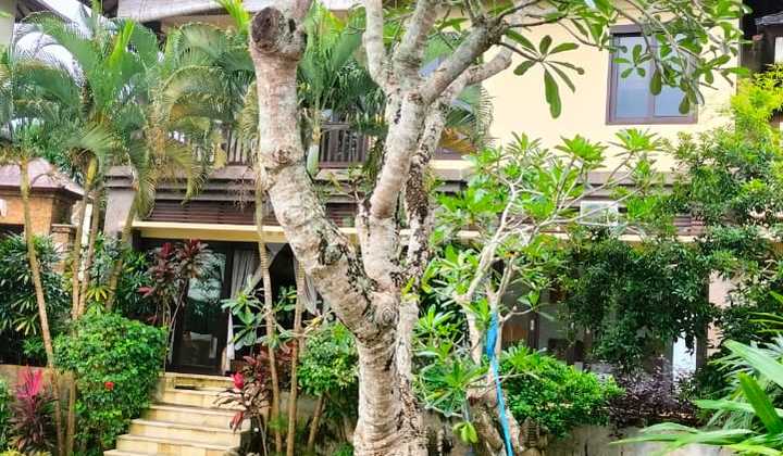 Villa Gratis Lipat di Bukit Jimbaran dengan Pemandangan Bandara & Pantai Jimbaran