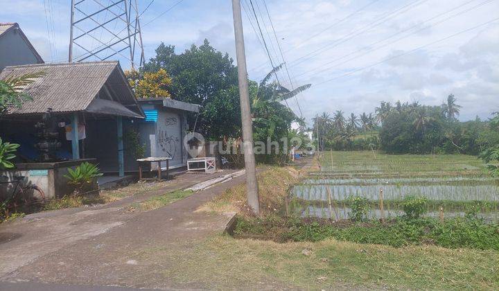 Dijual Cepat Tanah Kaba Kaba Dekat Canggu 2