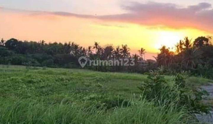 Dijual Tanah View Sawah Daerah Wisata Tanah Lot 1