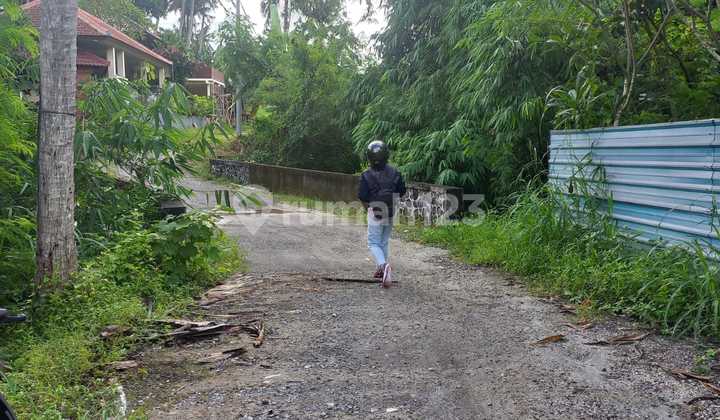 Dijual Cepat Tanah Saba Jungle dan River View