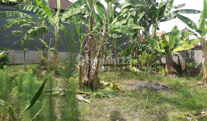 Dijual Tanah Strategis Dekat Area Wisata Tanah Lot di Untal Untal Mengwi 2