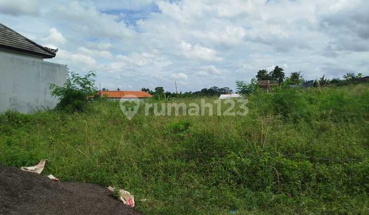 Dijual Cepat Tanah di Segara Wilis Pering, Gianyar