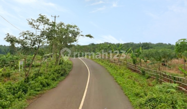 Di Jual Tanah Termurah di Maja Lebak Banten Di Jual Tanah Termurah di Maja Lebak Banten