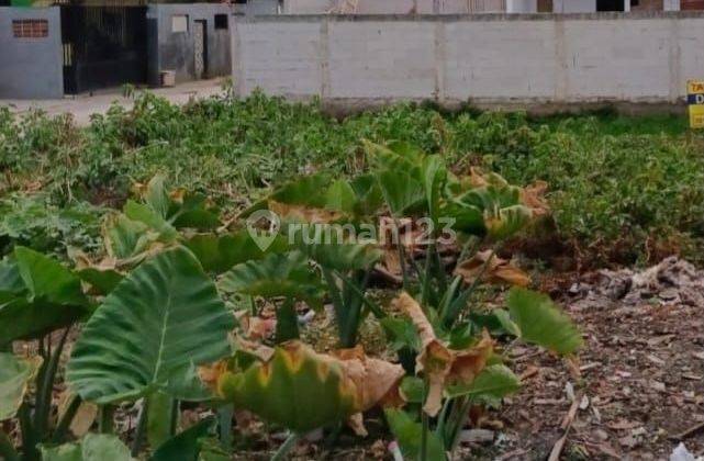 Dijual Cepat Tanah Kavling Kotak Badan di Cluster Depan Villa Melati Mas 2