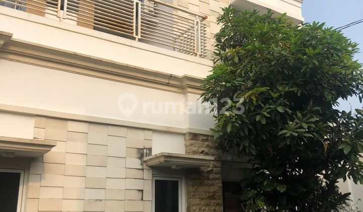 Dijual Murah Rumah Rapi Semi Furnished Ada Rooftop Di Duta Bintaro Tangerang Dijual Murah Rumah Rapi Semi Furnished Ada Rooftop Di Duta Bintaro Tangerang