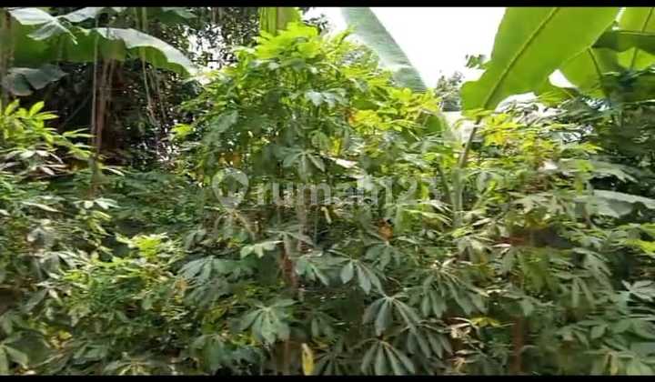 Jual Cepat Dibawah Harga Pasar Tanah di Pinggir Jalan Raya Legok Karawaci