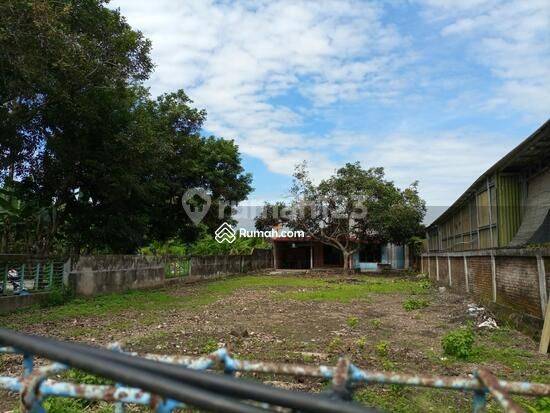 Di Jual Tanah Pekarangan, Shm, Dekat Kampus, Kawasan Kost di Pringwulung Yogyakarta 2