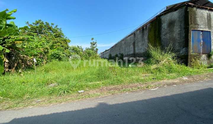 Dijual Tanah 1087 m2, Pekarangan, Strategis, Dekat Kopi Klotok Yogyakarta