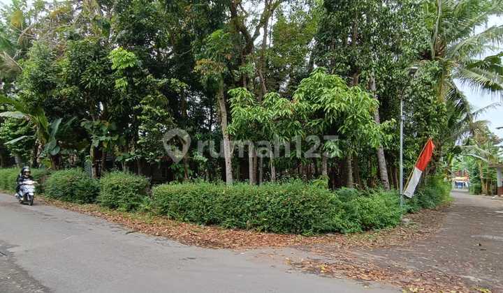 Dijual Tanah Pekarangan Luas 1833 m², Dekat Kampus Mercu Buana di Sedayu , Bantul Yogyakarta Dijual Tanah Pekarangan Luas 1833 m², Dekat Kampus Mercu Buana di Sedayu , Bantul Yogyakarta