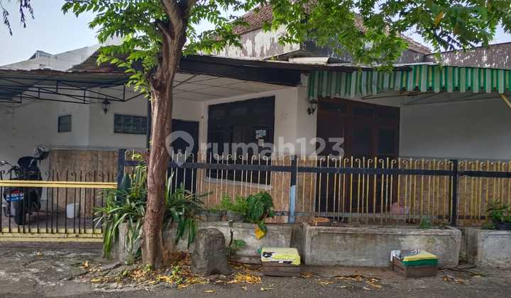 For Rent 1-Story House, Strategic Location, Suitable for Residence, Office, in Bausasran Yogyakarta For Rent 1-Story House, Strategic Location, Suitable for Residence, Office, in Bausasran Yogyakarta