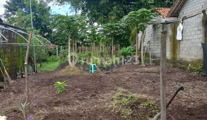 Dijual Tanah 308 m², Dekat Pemukiman Warga, di Sleman Yogyakarta