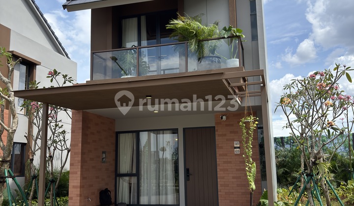 CitraGarden Forestine Cedarwood 6 (6x12)