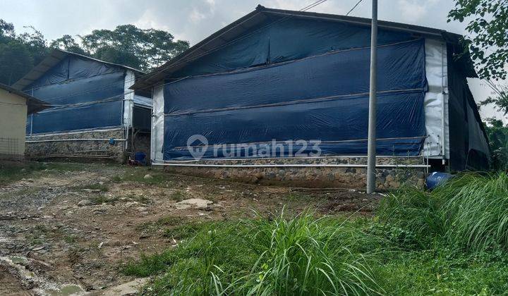 Dijual Tanah Luas di Sukajaya, Jonggol, Jawa Barat 1