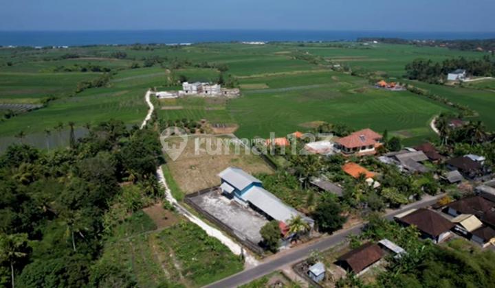 Jual Tanah Zona Pink Lokasi Pasut Kerambitan