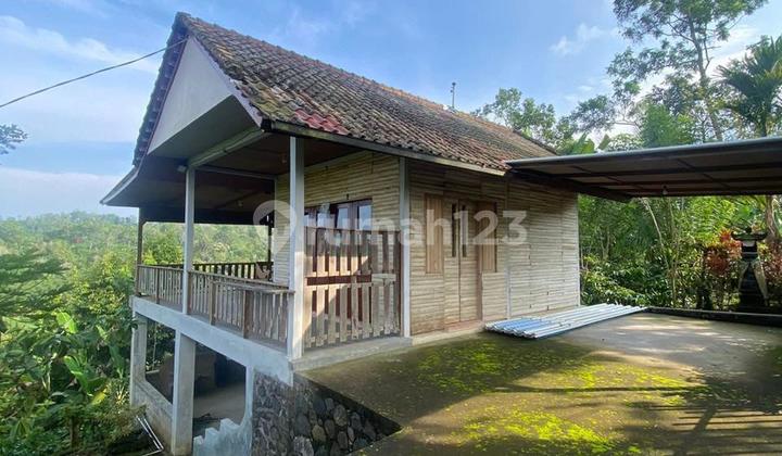 Jual Tanah + Bangunan Luaa Tanah 63,5 Are Hrga 30 Jt/ Are.lokasi Pupuan 1