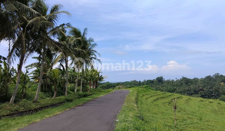 Jual Tanah 1 Ha Hrga 70 Jt /are Kelcung 1