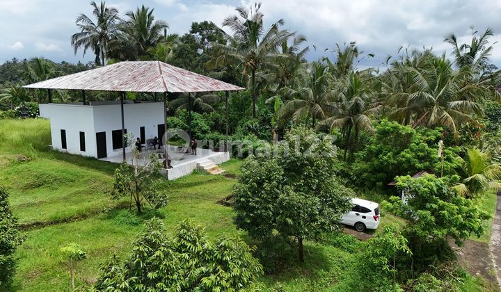Jual Tanah Kebun Tertata ******** Isi Rumah Lokasi Tiyinggading Selbarr Jual Tanah Kebun Tertata ******** Isi Rumah Lokasi Tiyinggading Selbarr