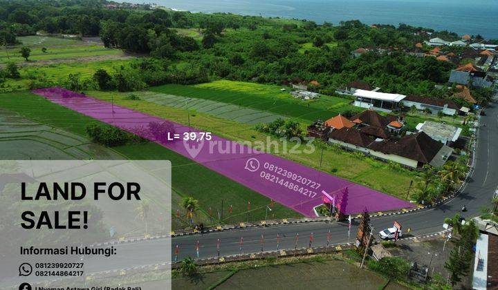 Jual Tanah Tanah Lt 39,75 Are Harga 1,1 M Tanah Lot 2