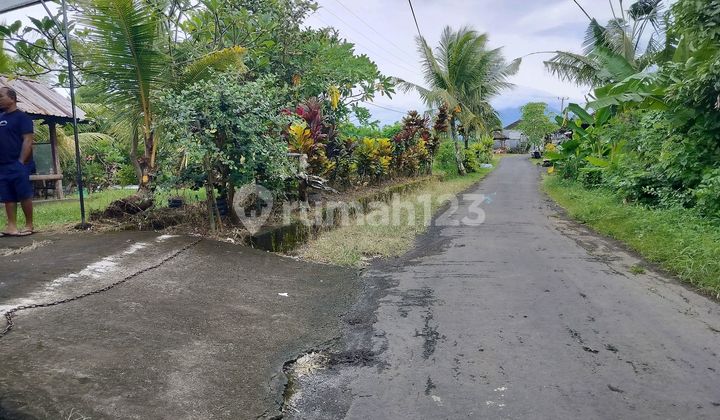 Jual Tanah Murah Lokasi Desa Sukawati Selemadeg
