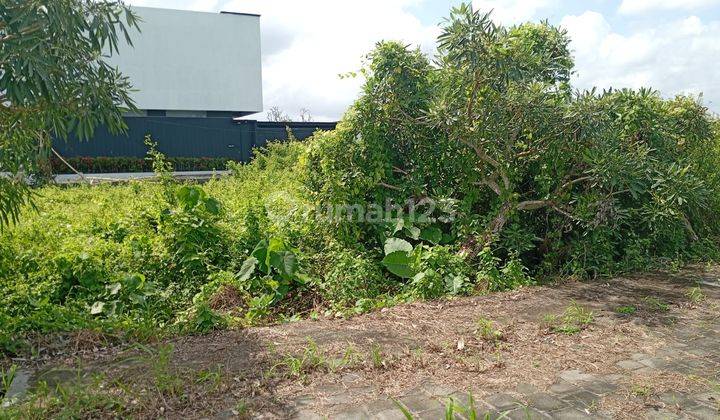 Jual Tanah 6,5 Are Harga 750 Jt/ Re Kedunggu 2