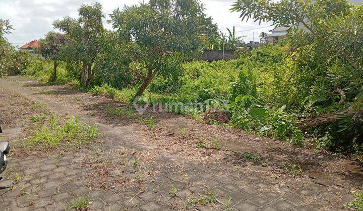 Jual Tanah 6,5 Are Harga 750 Jt/ Re Kedunggu 1
