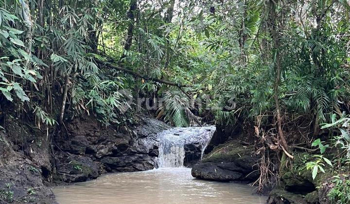 Sell Cheap Land with Waterfall in Selemadeg