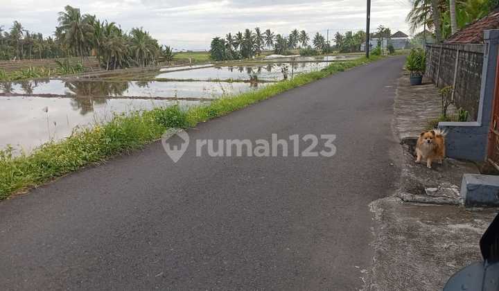 Selling Cheap Land by Aapal Road, District