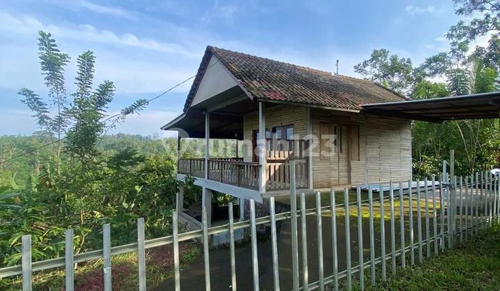 Jual Tanah + Bangunan Luaa Tanah 63,5 Are Hrga 30 Jt/ Are.lokasi Pupuan 2