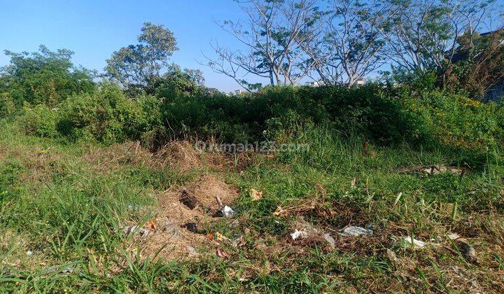 Tanah Cocok Dibangun Gudang Maupun Rumah di Sariwangi Raya 2