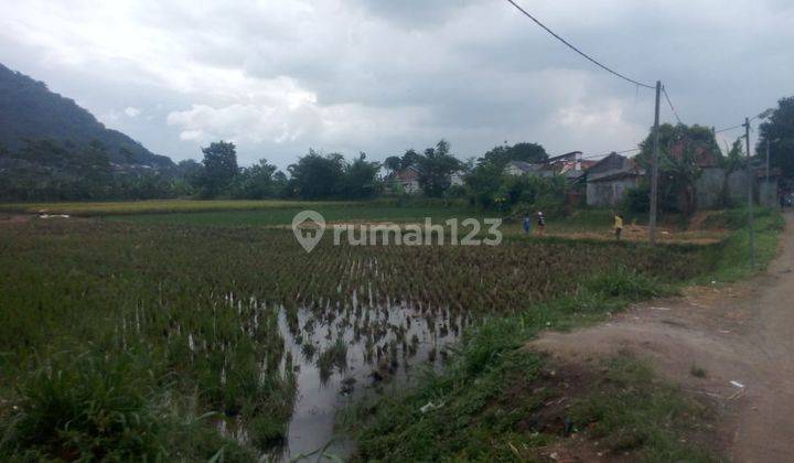 Tanah Luas Cocok Dibangun Perumahan di Cikuya, Margaasih 2