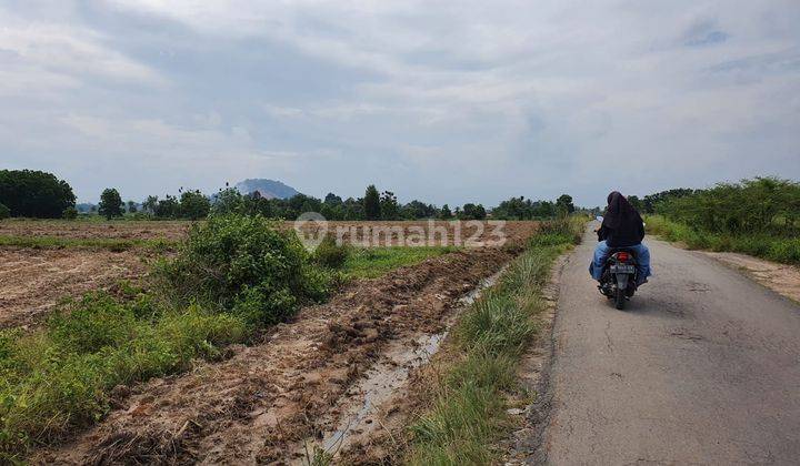 Di Jual Tanah SHM di Sayap Airport Raden Inten Lampung 2