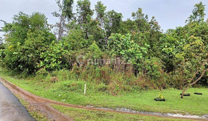 Di jual tanah SHM Kosong di Sijuk Belitung 1