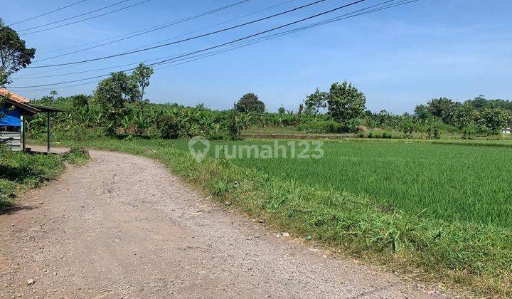 Tanah Sawah dan Kebundi Cianjur Jawa Barat Luas 27 Hektar 1