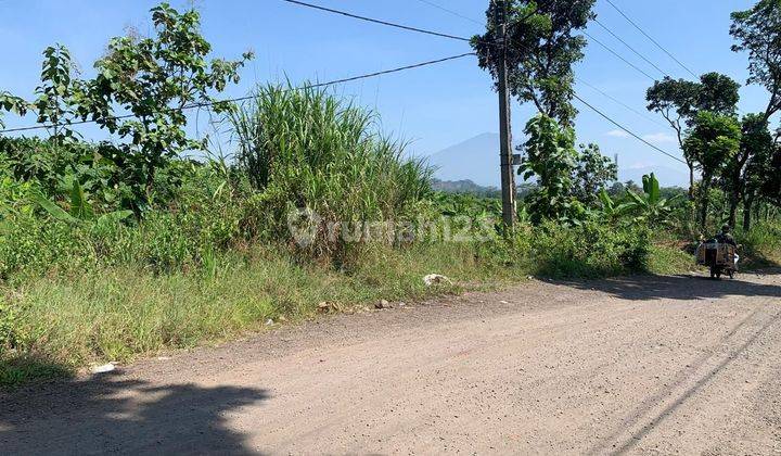 Tanah Sawah dan Kebundi Cianjur Jawa Barat Luas 27 Hektar 2