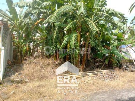 Tanah Siap Bangun, Lokasi Strategis di Pucang Gading 1